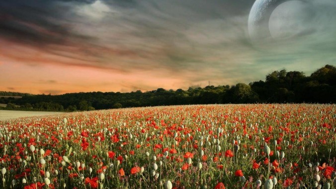 中办、国办发文，拟新建改扩建 1000 所以上优质普高，将带来哪些影响？可能面临哪些挑战？